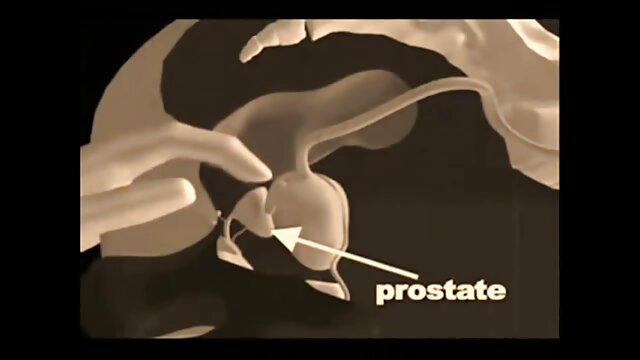 सौभाग्यशाली हिंदी मूवी सेक्सी पिक्चर